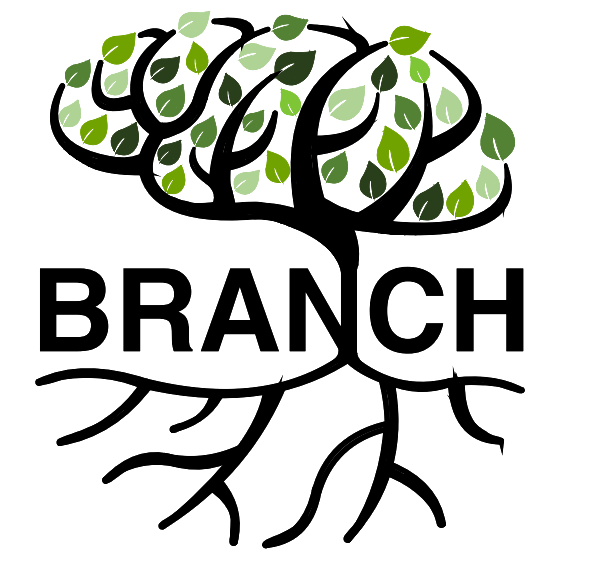 BRANCH - Evaluación Remota de Boston sobre la Salud Neurocognitiva